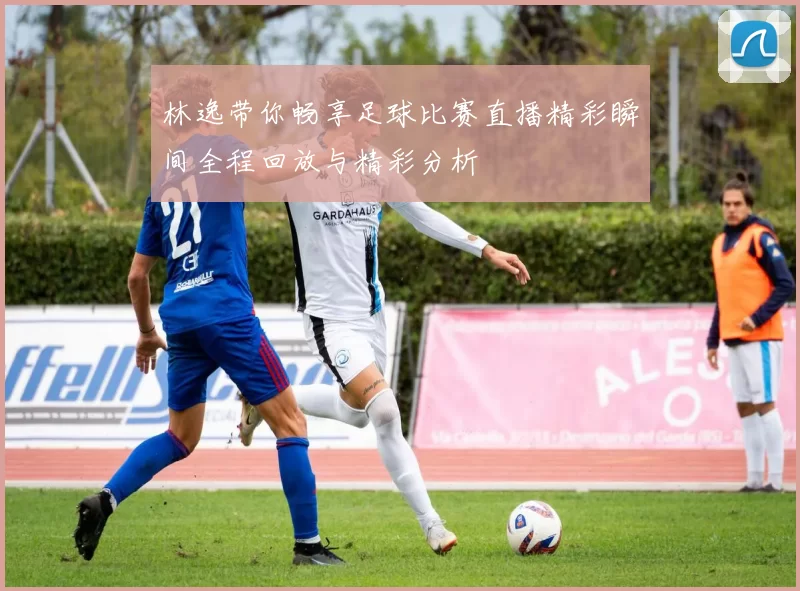 林逸带你畅享足球比赛直播精彩瞬间全程回放与精彩分析