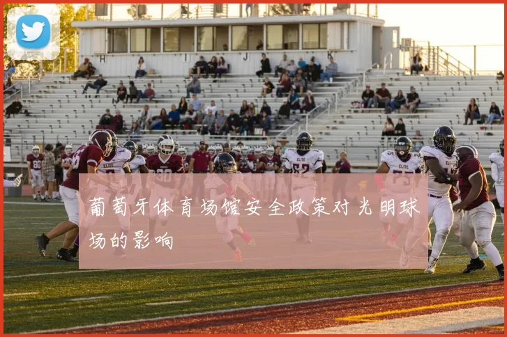 葡萄牙体育场馆安全政策对光明球场的影响