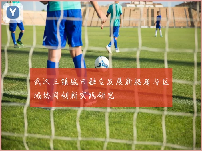 武汉三镇城市融合发展新格局与区域协同创新实践研究