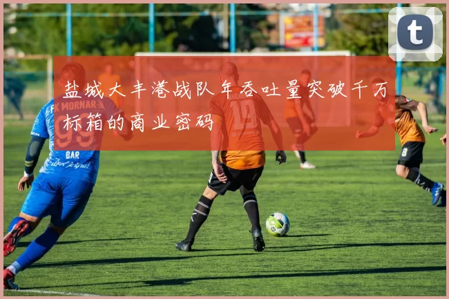 盐城大丰港战队年吞吐量突破千万标箱的商业密码