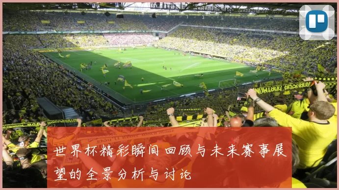 世界杯精彩瞬间回顾与未来赛事展望的全景分析与讨论