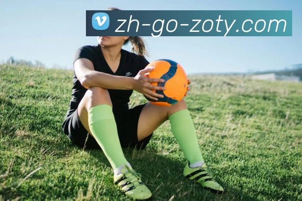 zoty中欧APP 封面图